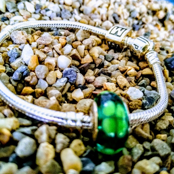 Pandora Charm Bracelet (Band + 2 Charms) - Picture 4 of 7